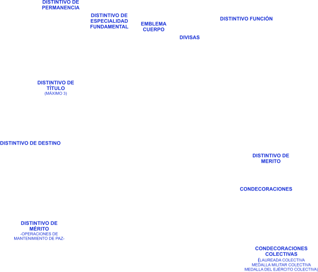 DIVISAS DISTINTIVO DE DESTINO DISTINTIVO DE  ESPECIALIDAD FUNDAMENTAL DISTINTIVO DE PERMANENCIA DISTINTIVO DE TÍTULO (MÁXIMO 3) CONDECORACIONES DISTINTIVO DE MERITO CONDECORACIONES COLECTIVAS (LAUREADA COLECTIVA MEDALLA MILITAR COLECTIVA MEDALLA DEL EJÉRCITO COLECTIVA) EMBLEMA  CUERPO DISTINTIVO FUNCIÓN DISTINTIVO DE MÉRITO -OPERACIONES DE MANTENIMIENTO DE PAZ-